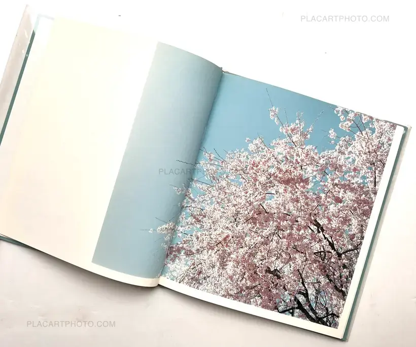 Hysteric Eight (Signed)