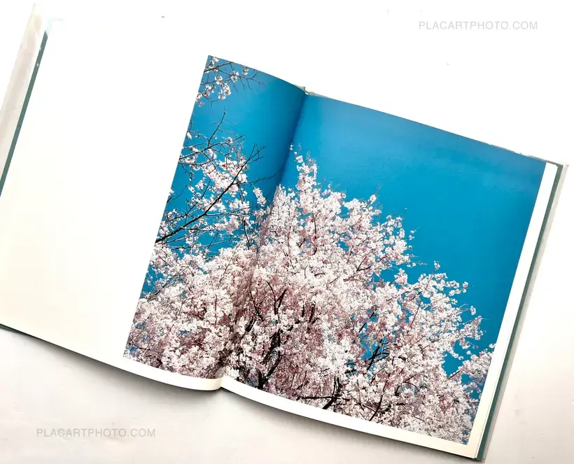 Hysteric Eight (Signed)