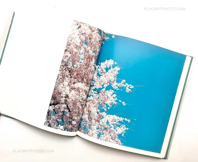 Hysteric Eight (Signed)