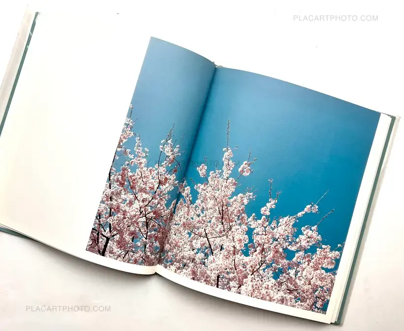 Hysteric Eight (Signed)