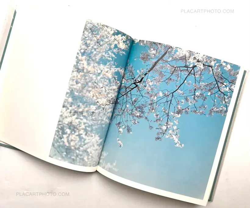 Hysteric Eight (Signed)