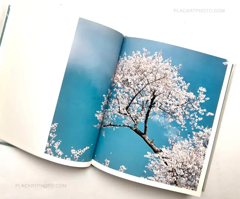 Hysteric Eight (Signed)