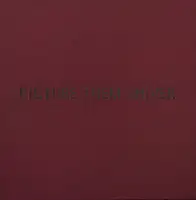 PICTURE THEM SILVER (ONLY 10 COPIES)