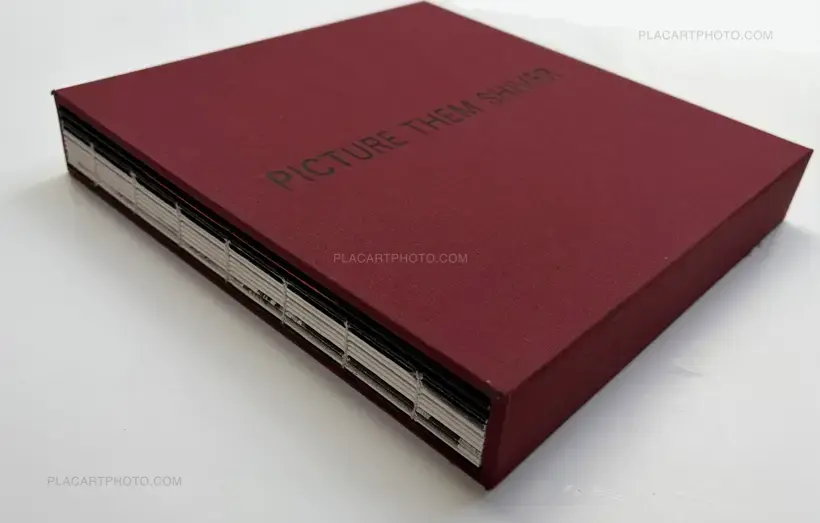 PICTURE THEM SILVER (ONLY 10 COPIES)