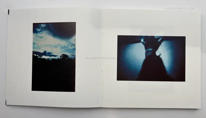 PICTURE THEM SILVER (ONLY 10 COPIES)