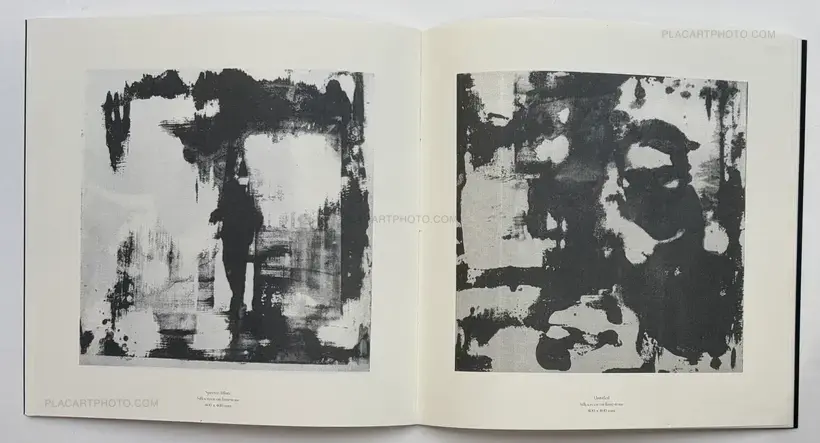 PICTURE THEM SILVER (ONLY 10 COPIES)