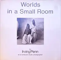 Worlds in a Small Room
