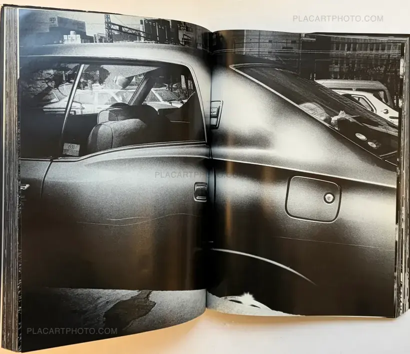 Light and Shadow (First edition)