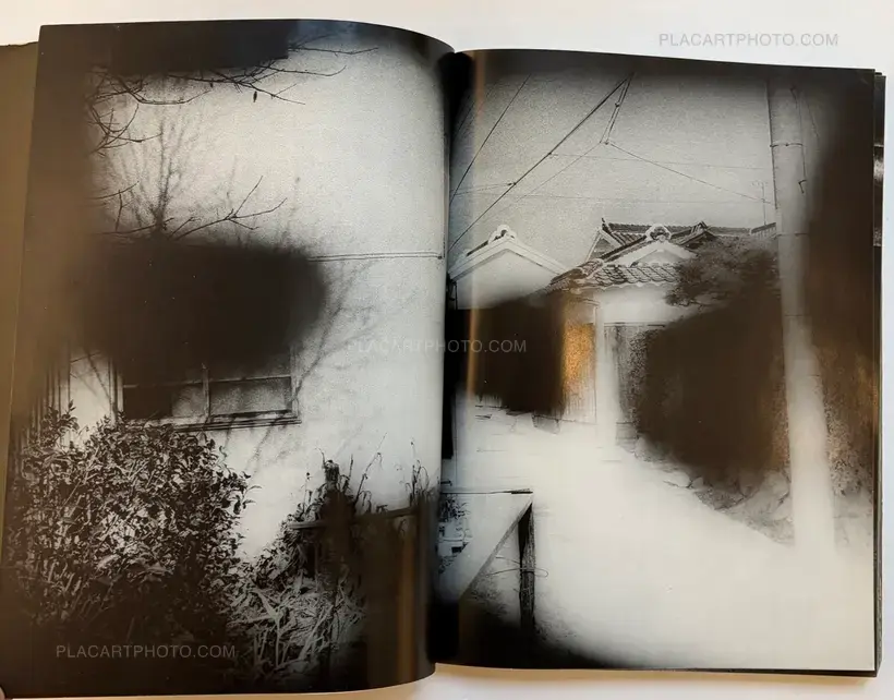 Light and Shadow (First edition)