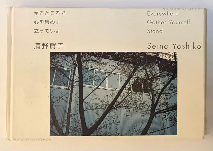 Everywhere Gather Yourself Stand