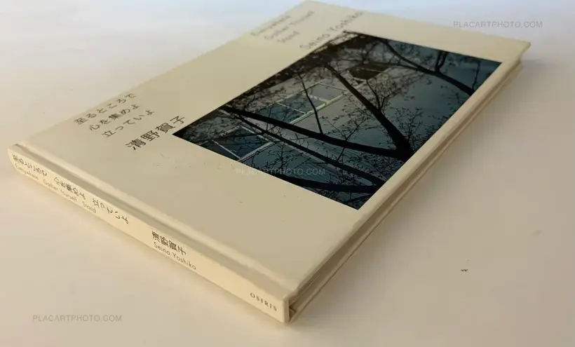 Everywhere Gather Yourself Stand