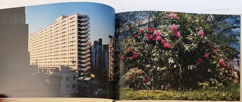 Everywhere Gather Yourself Stand