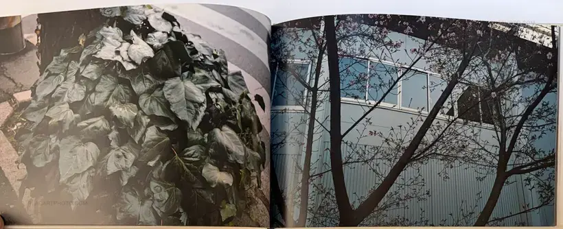 Everywhere Gather Yourself Stand