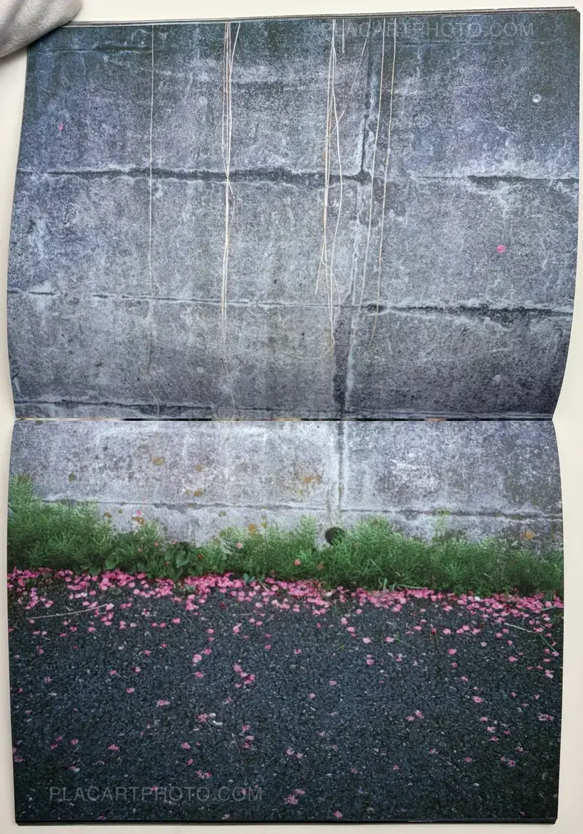 The Universe Doesn't Know