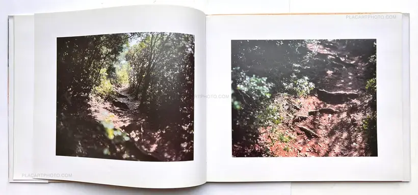 Mont Sainte Victoire