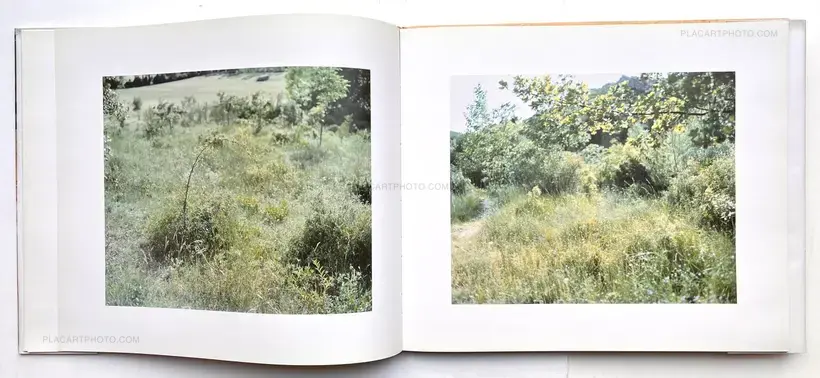 Mont Sainte Victoire