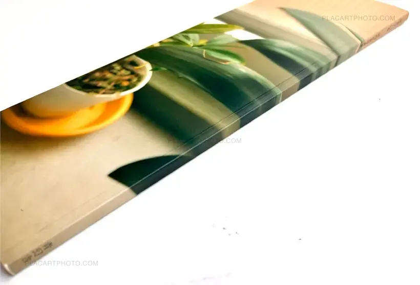 Ikiteiru / Alive (First edition)