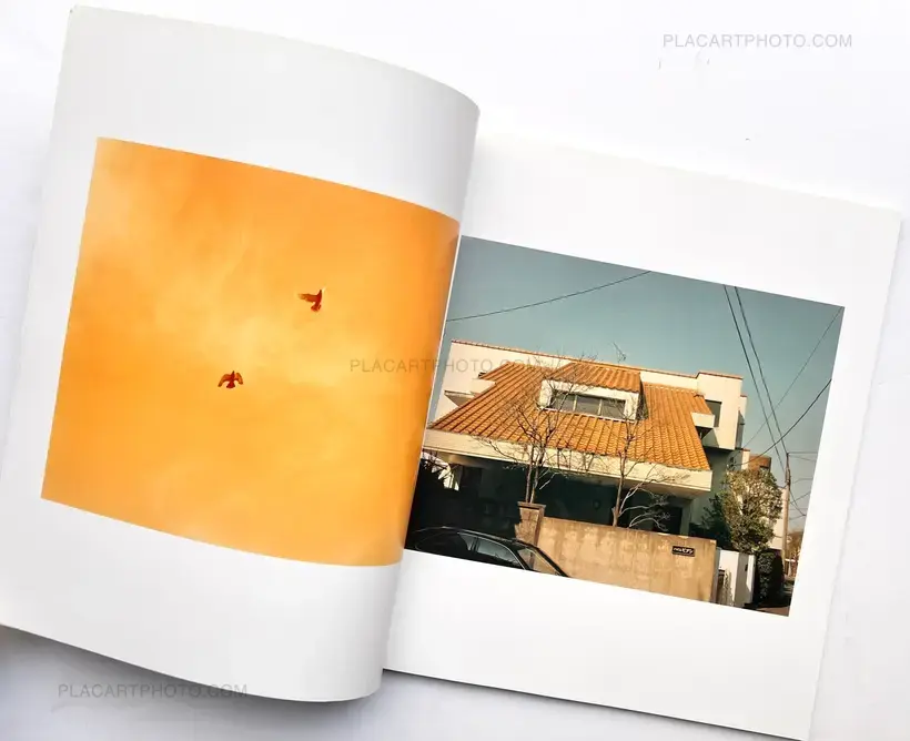 Ikiteiru / Alive (First edition)