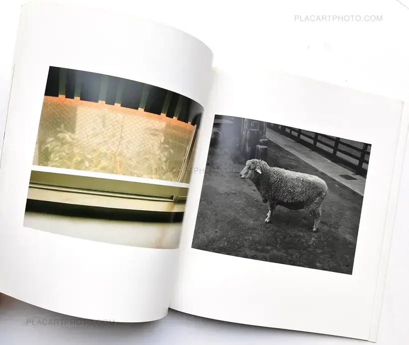 Ikiteiru / Alive (First edition)