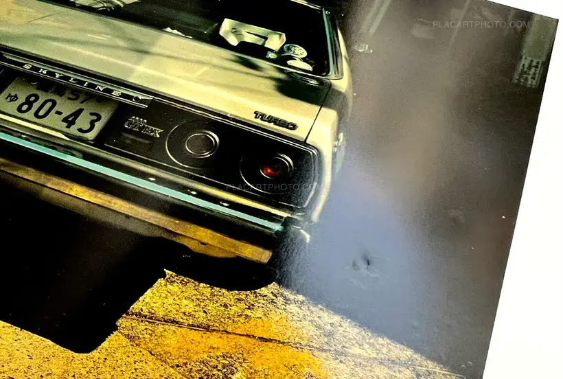 Ikiteiru / Alive (First edition)