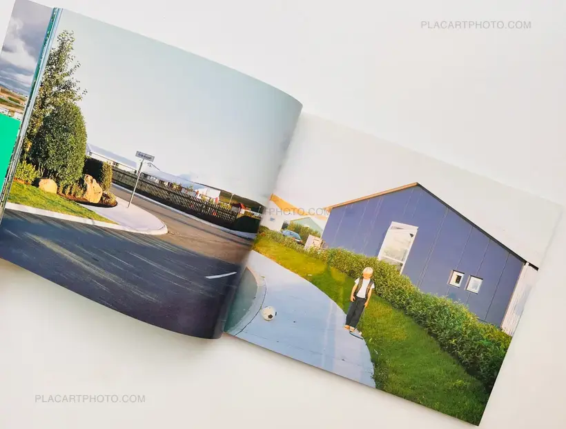 Hyper Ballad: Icelandic Suburban Landscapes