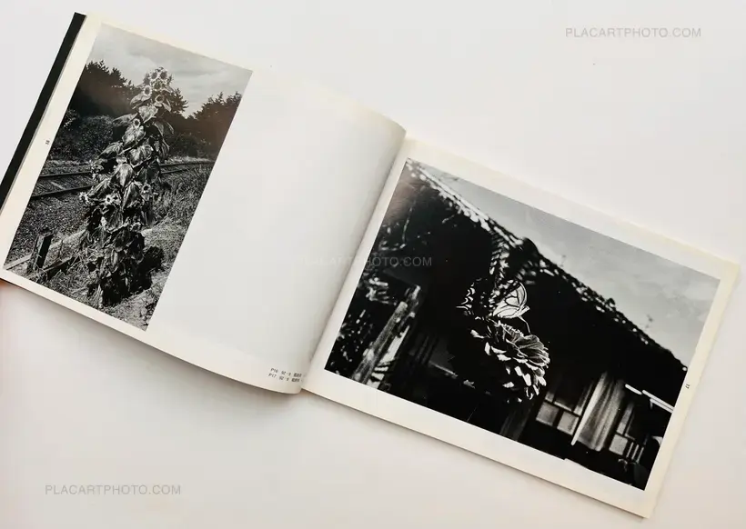 Distance (Signed and inscribed)