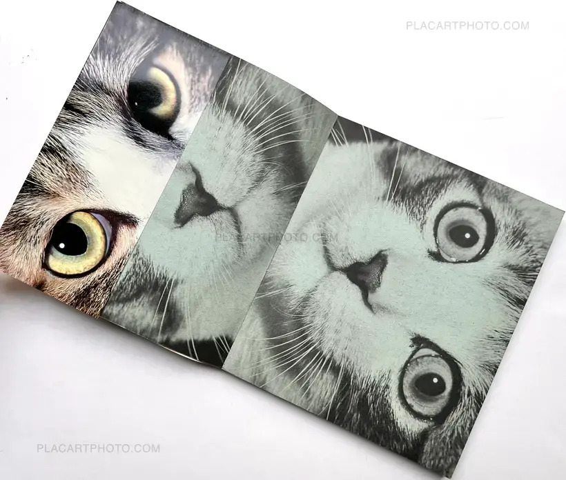 Sasuke !! Itoshiki neko yo / Sasuke !! My dear cat