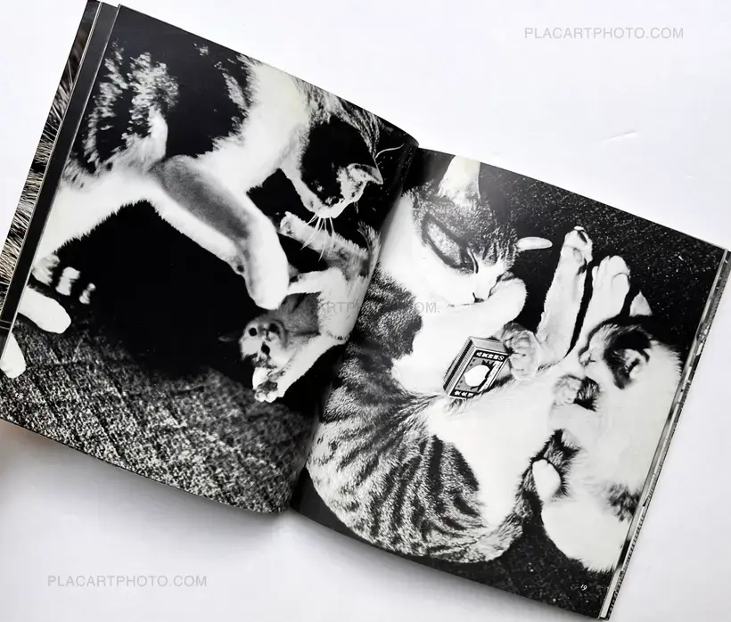 Sasuke !! Itoshiki neko yo / Sasuke !! My dear cat