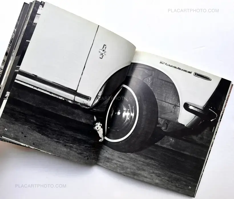 Sasuke !! Itoshiki neko yo / Sasuke !! My dear cat