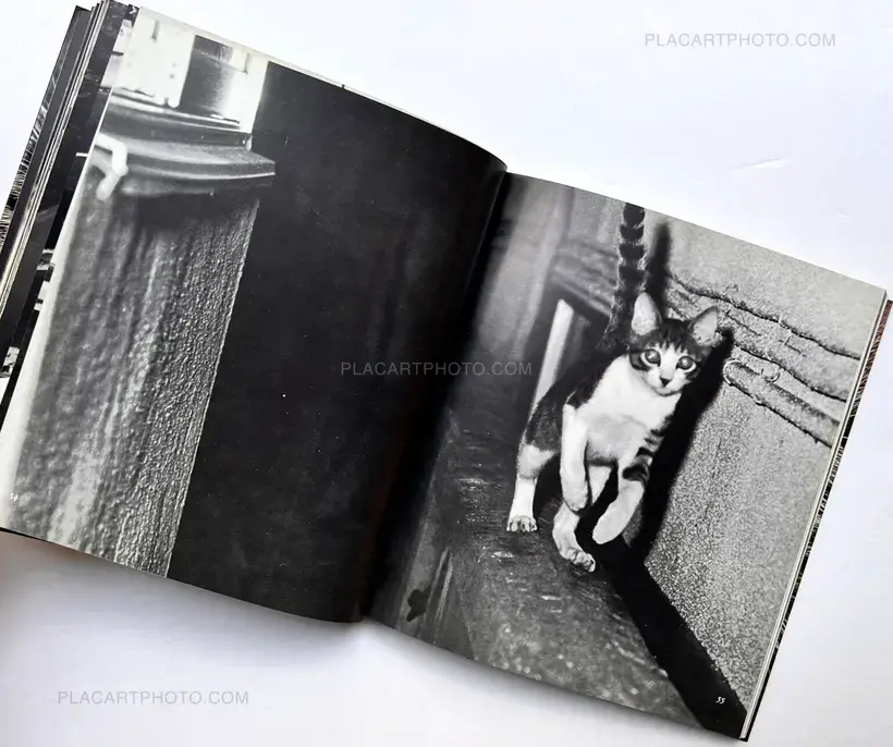 Sasuke !! Itoshiki neko yo / Sasuke !! My dear cat