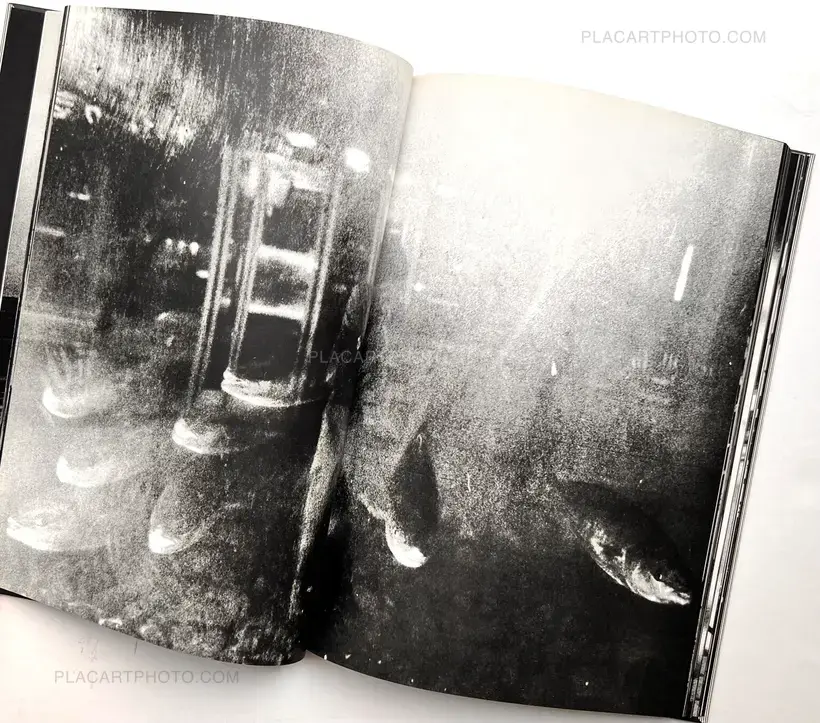 For a Language to Come