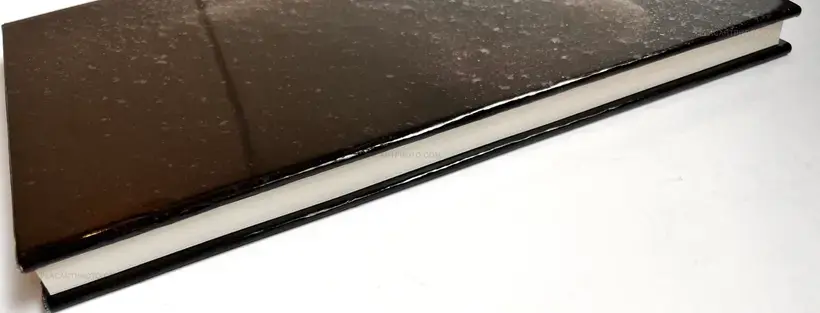 Passengers (Signed by both artists)