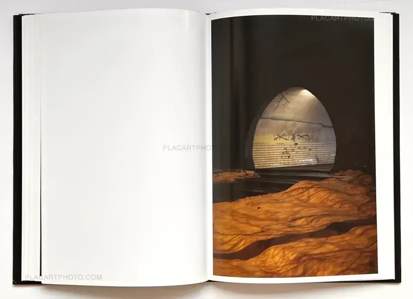 Passengers (Signed by both artists)