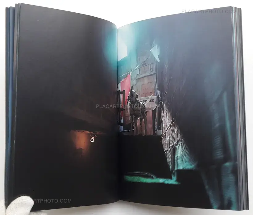 Sharkification (SPECIAL EDT WITH A PRINT)