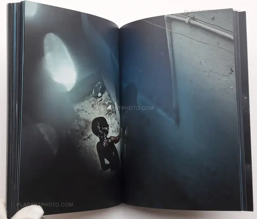 Sharkification (SPECIAL EDT WITH A PRINT)