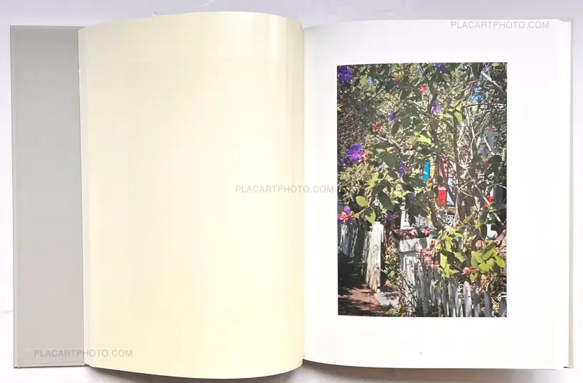 The Auckland Project