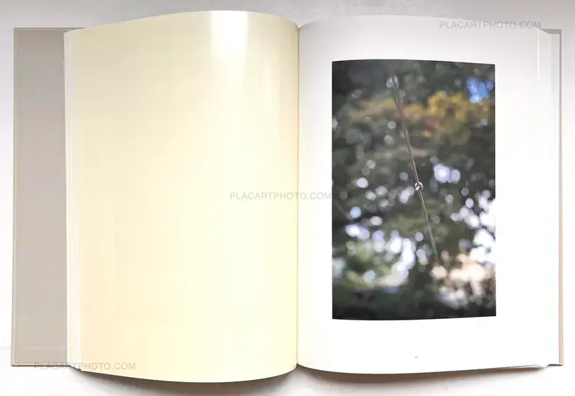 The Auckland Project