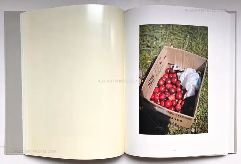 The Auckland Project