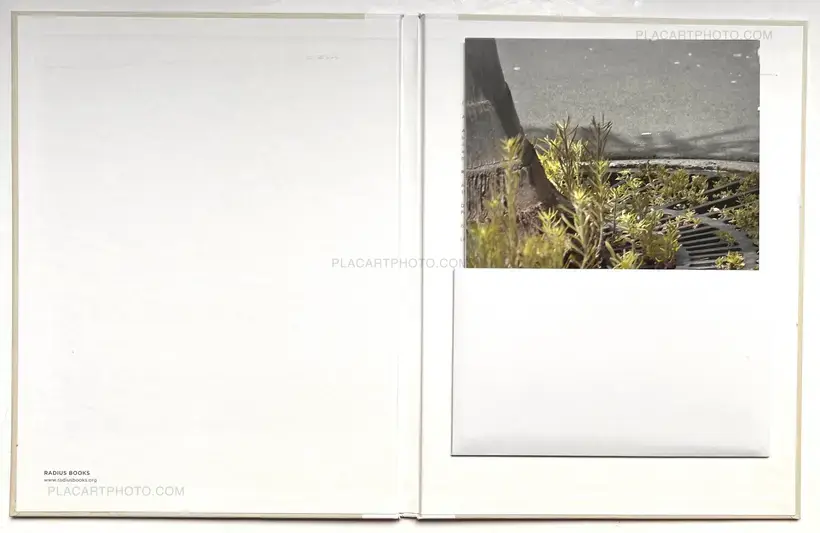 The Auckland Project