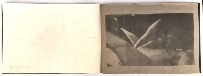 CHINON DCM-206 (SIGNED SPECIAL EDT / 25ex)