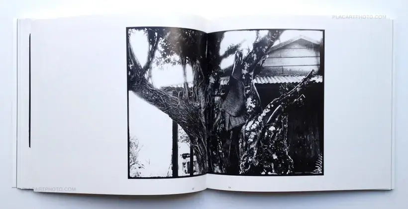 Hikari to kage no shima