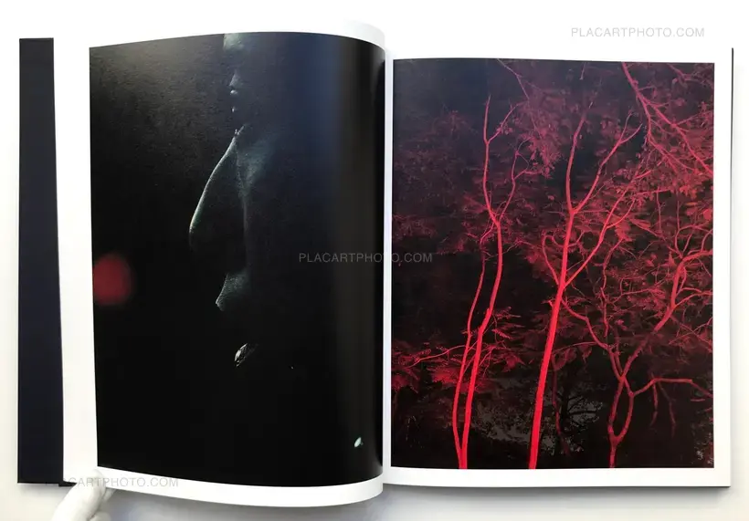 APPROXIMATE JOY (SEALED COPY)