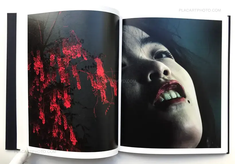 APPROXIMATE JOY (SEALED COPY)