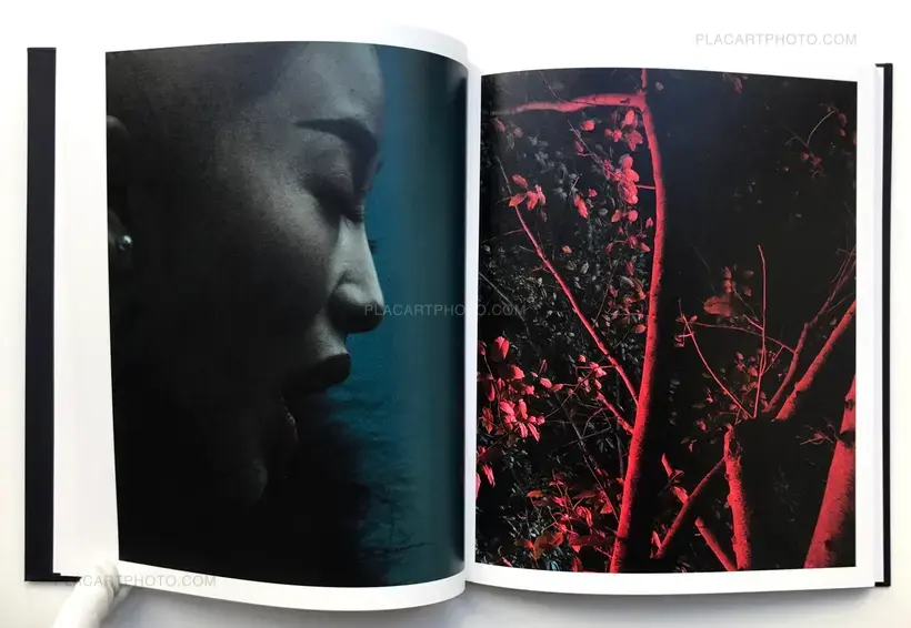 APPROXIMATE JOY (SEALED COPY)