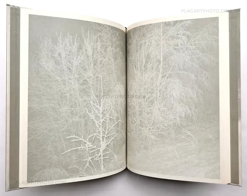 NIGHT LIGHT (SIGNED AND NUMBERED OF 333 EX)