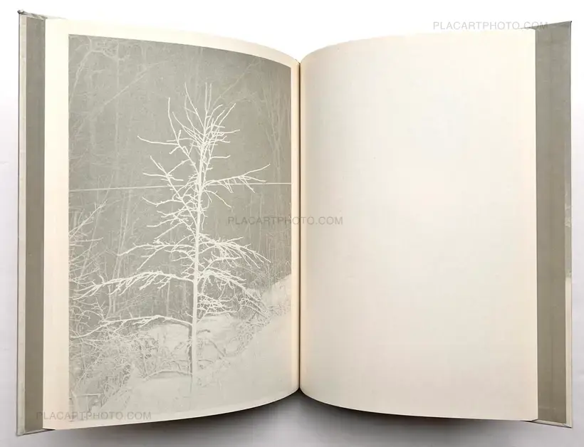 NIGHT LIGHT (SIGNED AND NUMBERED OF 333 EX)