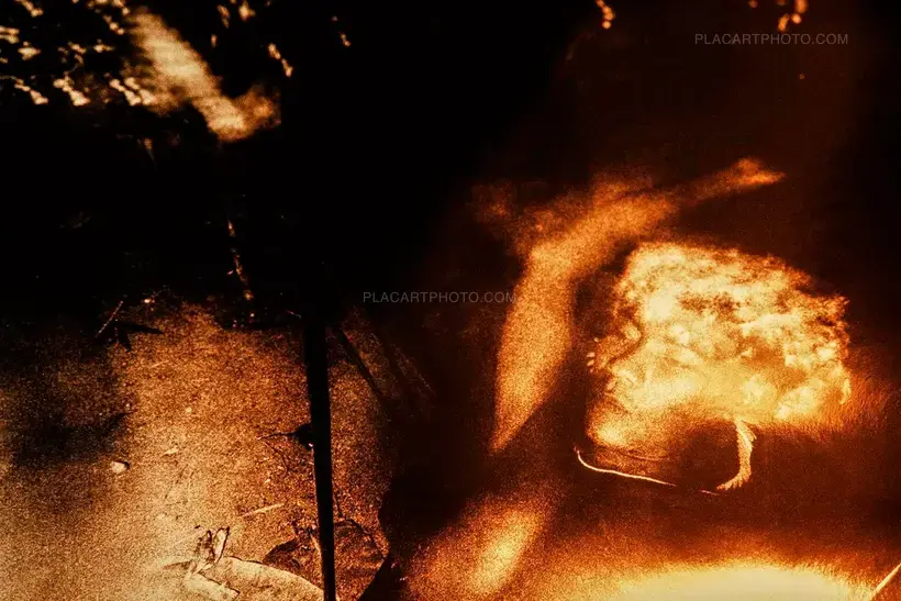 ‘Genocídio do Yanomami’