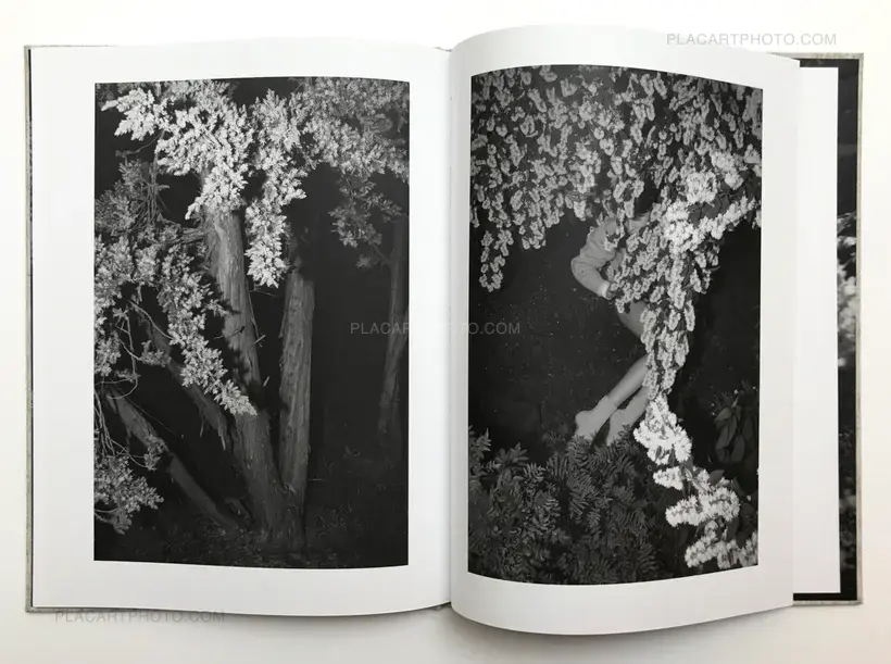 Sol & Luna (FIRST EDT)