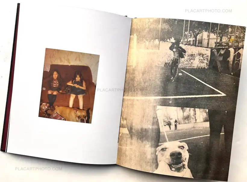 Y MI CORAZON SE HACE PEDACITOS (Signed)