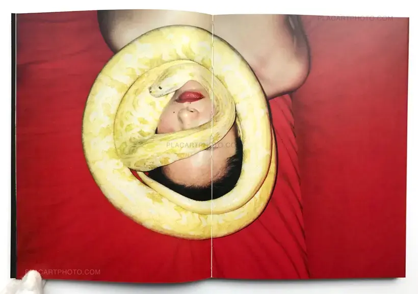 THE BRIGHTEST LIGHT RUNS TOO FAST (WITH PRINT)